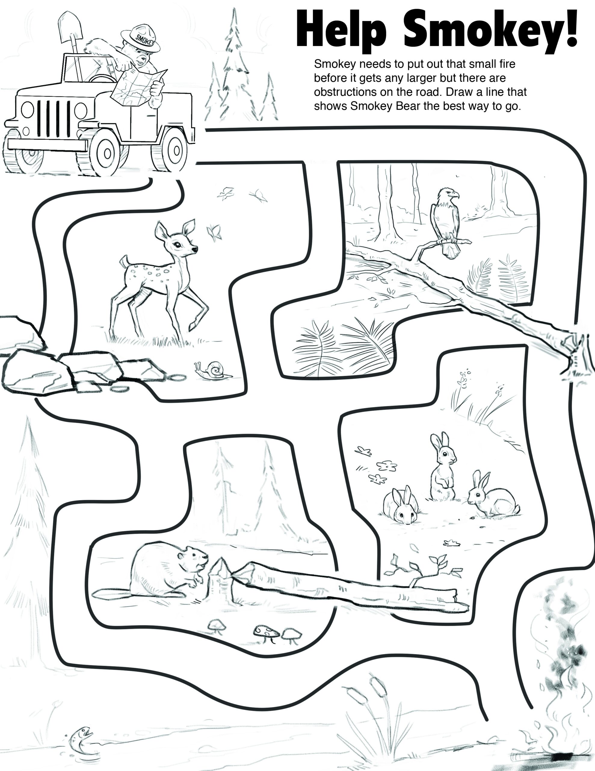 Individual Toolkit Smokey Bear