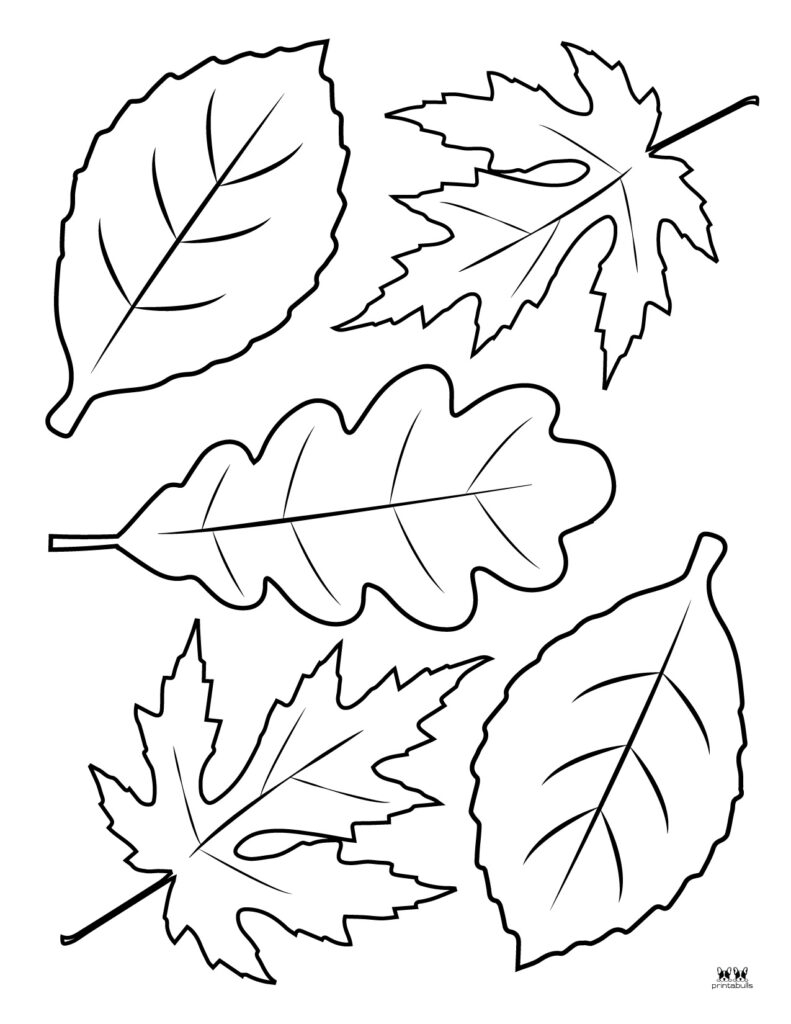 Leaf Outlines Templates Coloring Pages 55 FREE Pages Printabulls