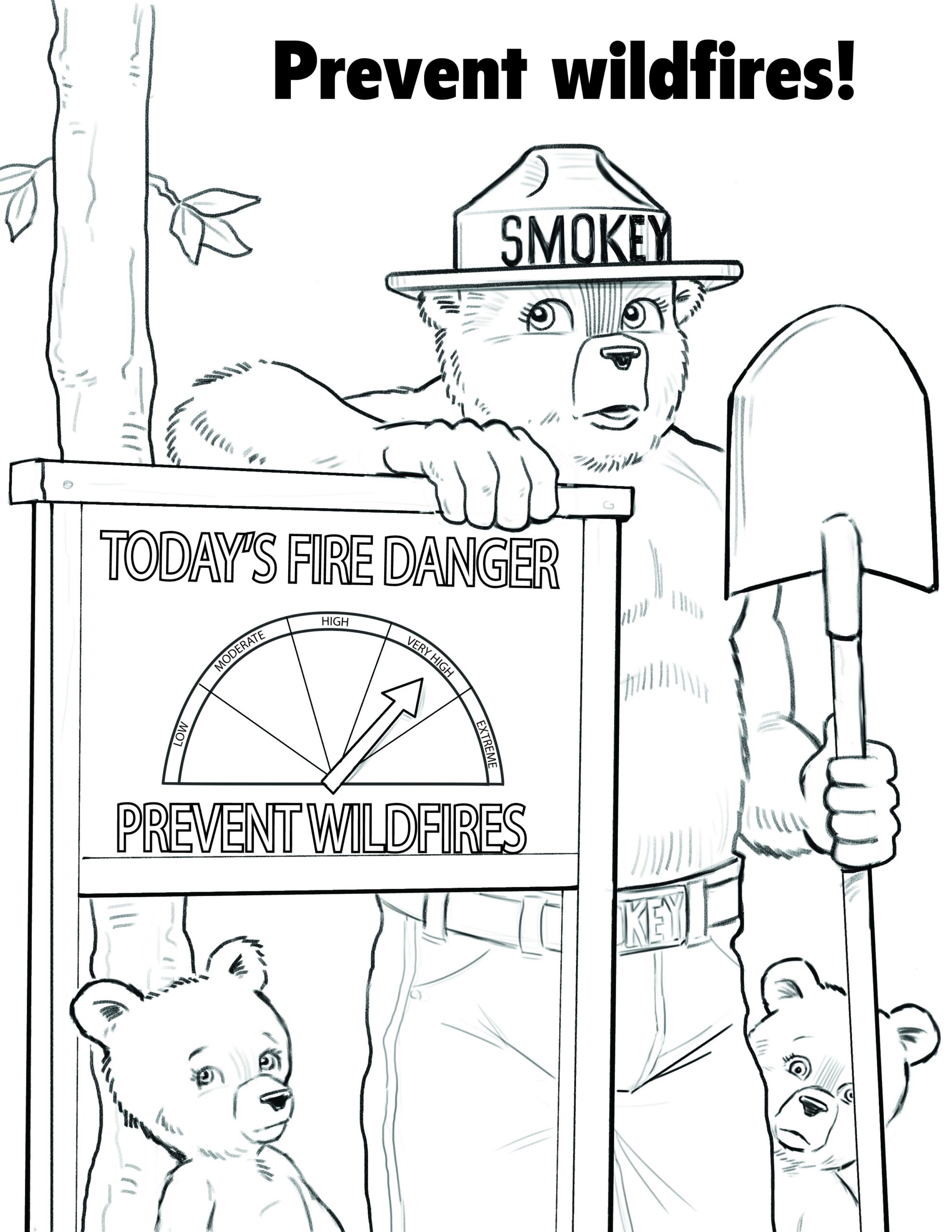 Library Toolkit Smokey Bear