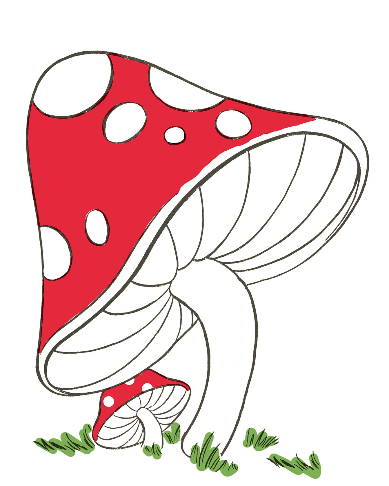 Mushroom Drawing Easy The Graphics Fairy