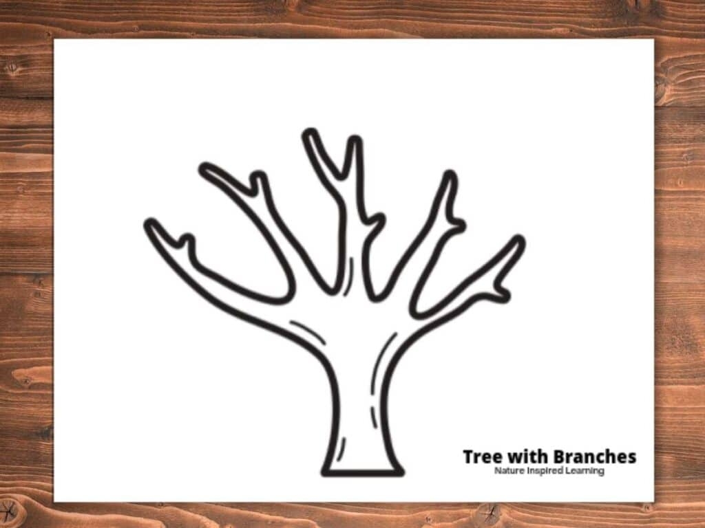 Printable Fall Tree Coloring Pages Nature Inspired Learning