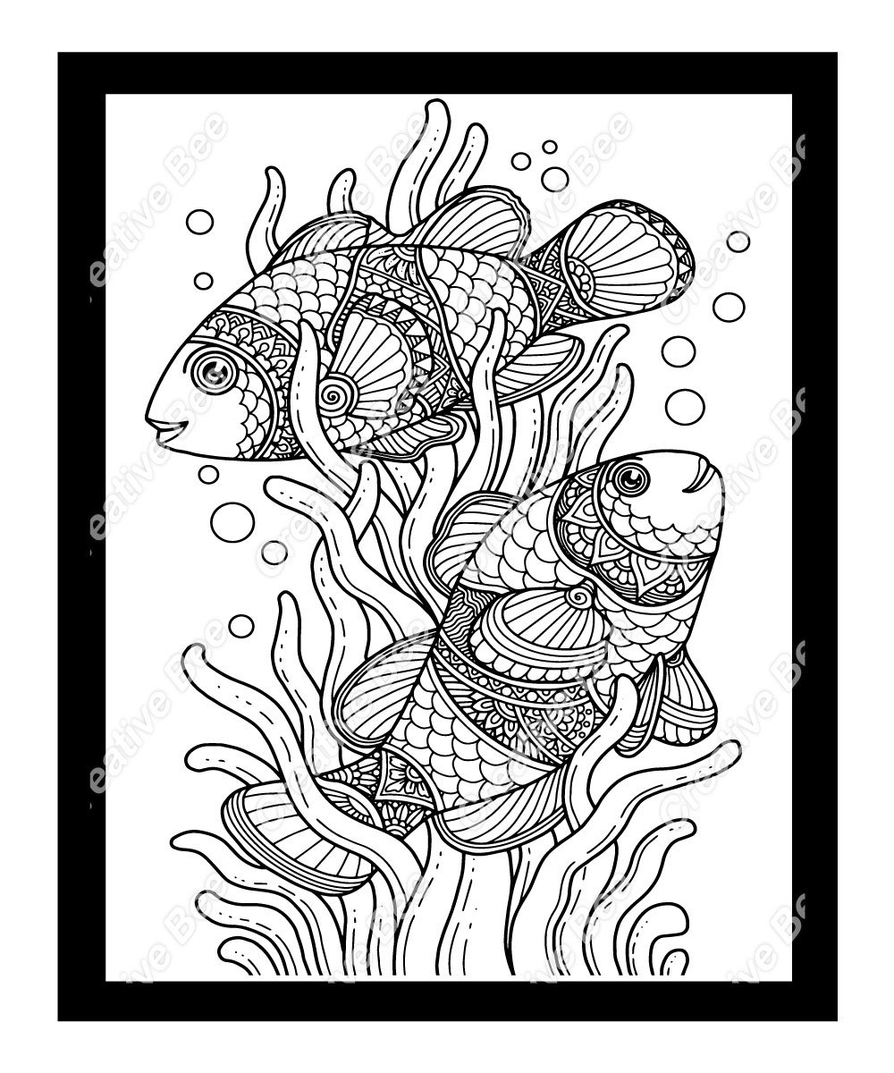 animal colouring book for adults