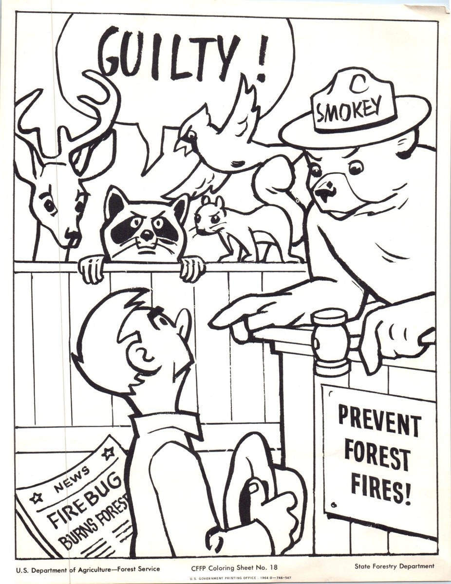 Smokey Bear USDA Forest Service Coloring Sheet 18 State Forestry 1964 8 5 X 11 EBay