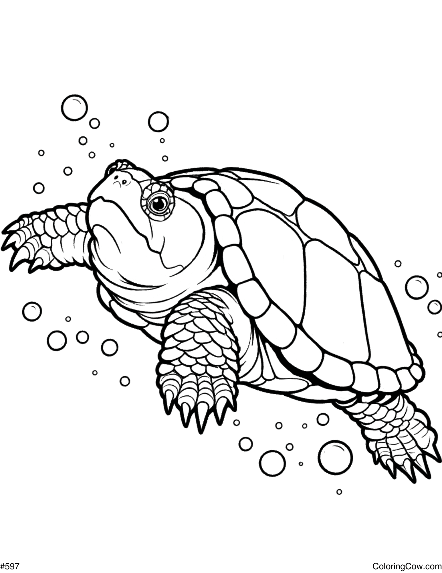 Snapping Turtle Coloring Page