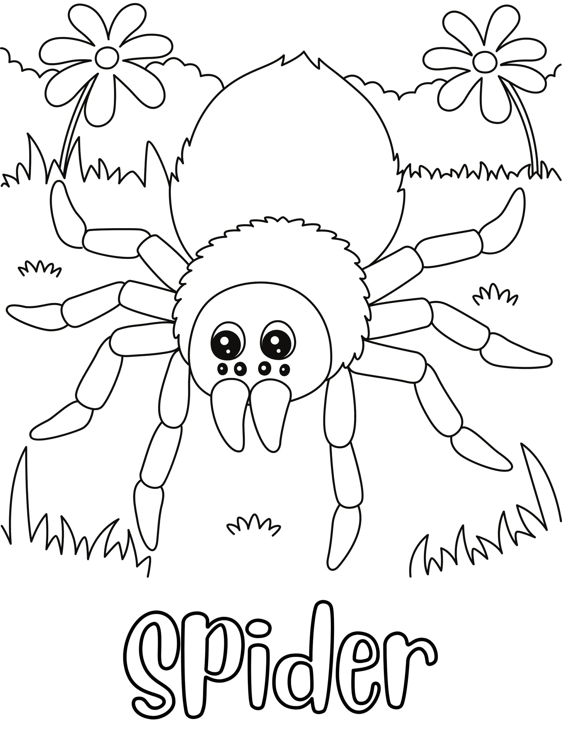Spider Coloring Pages Printable