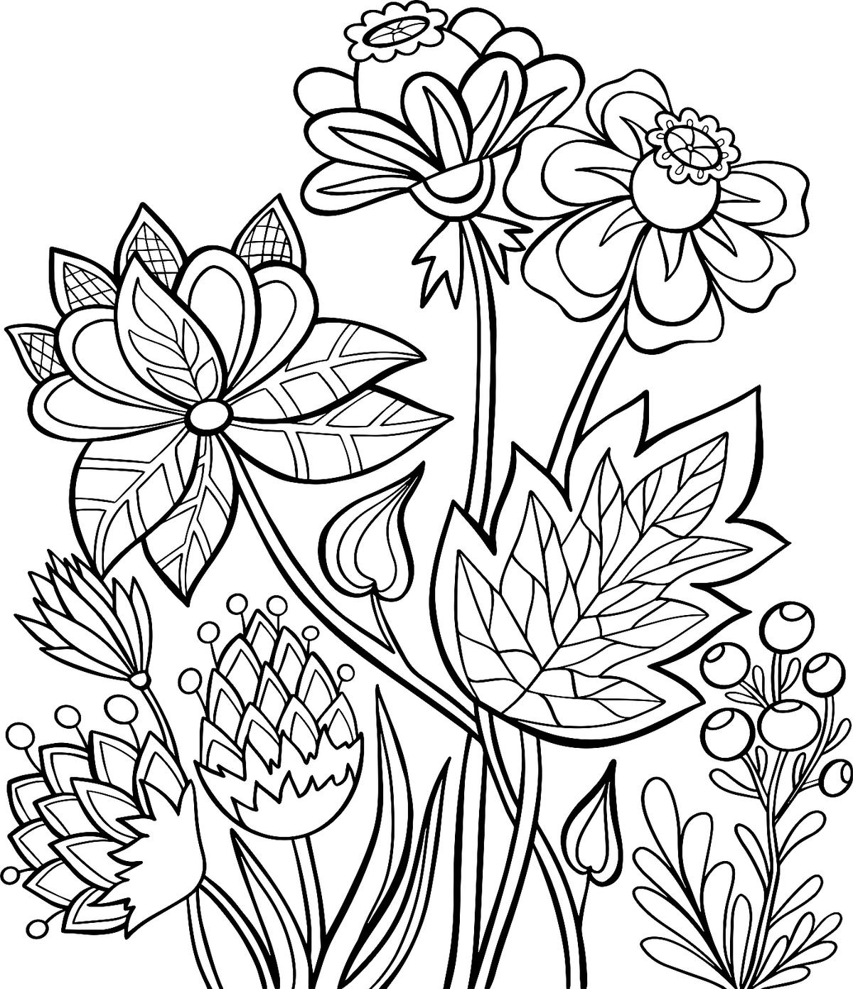 flower colouring pages free printable