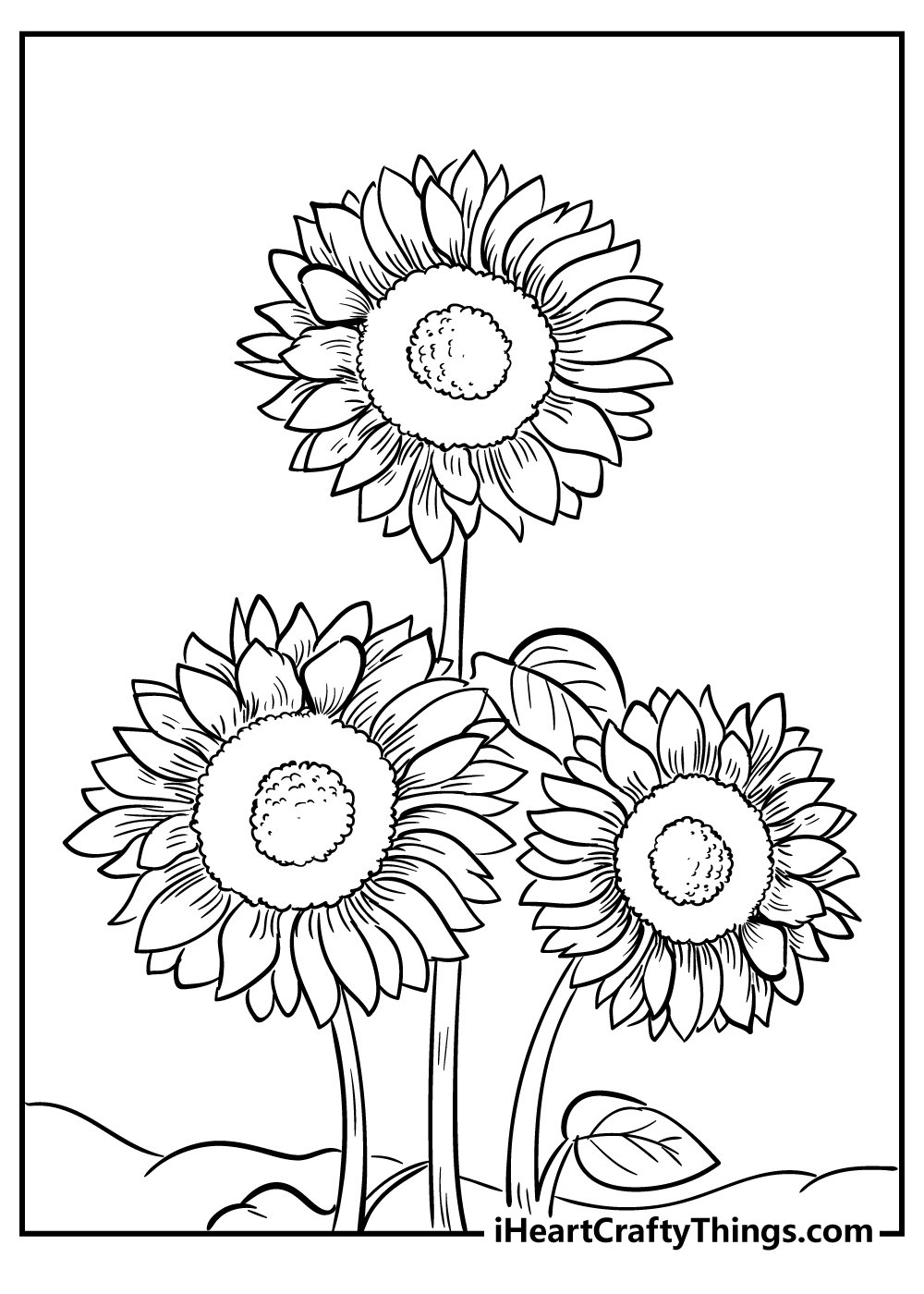 Sunflower Coloring Pages 100 Free Printables 