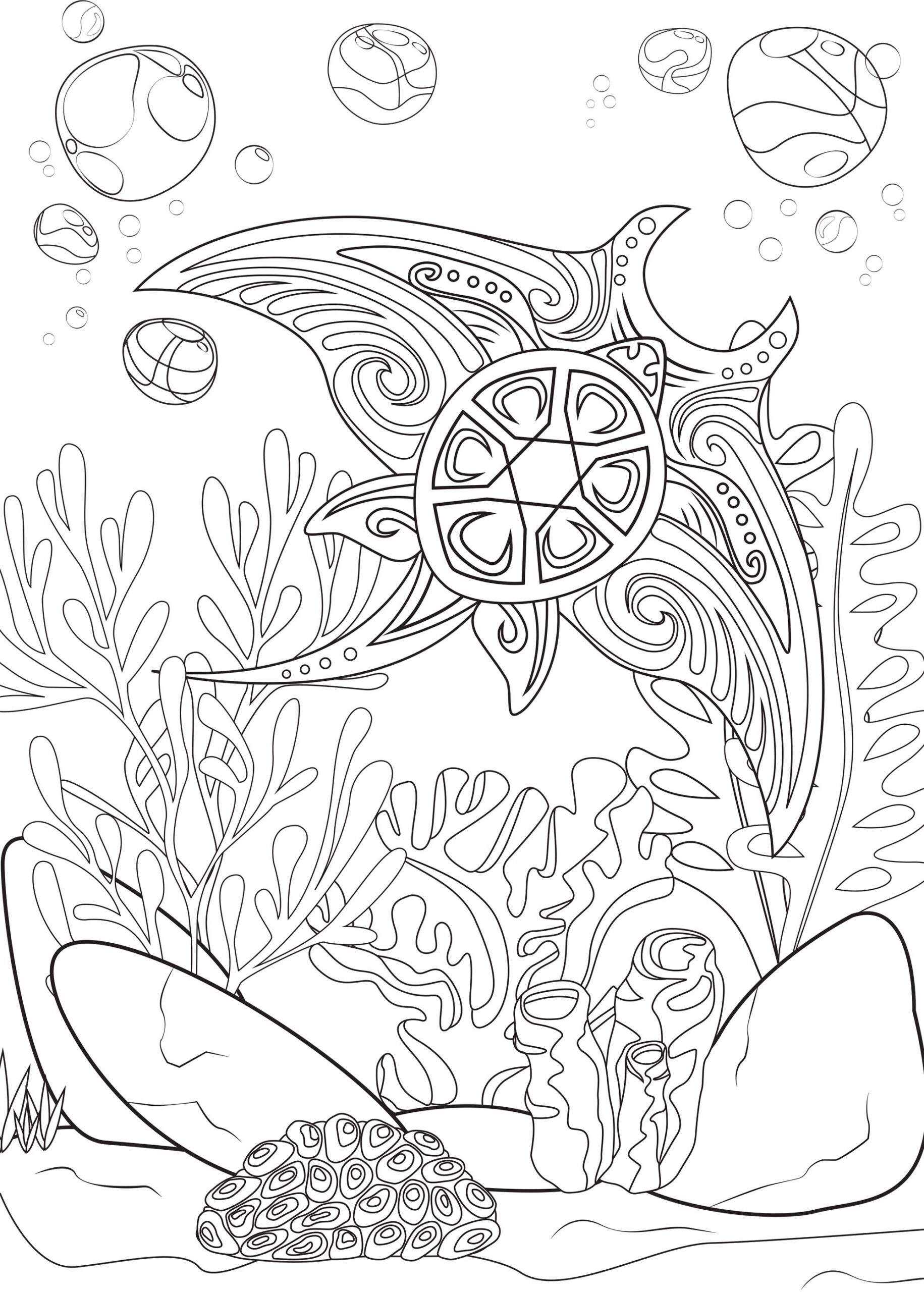 The World Of The Manta Ray Water World Coloring Pages