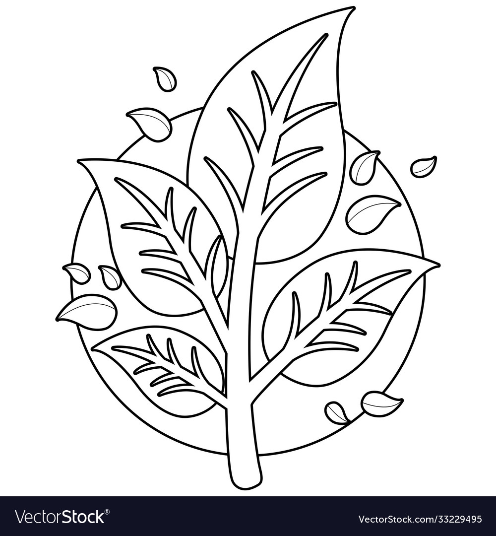 Tree Branch With Leaves Coloring Page Royalty Free Vector VectorStock
