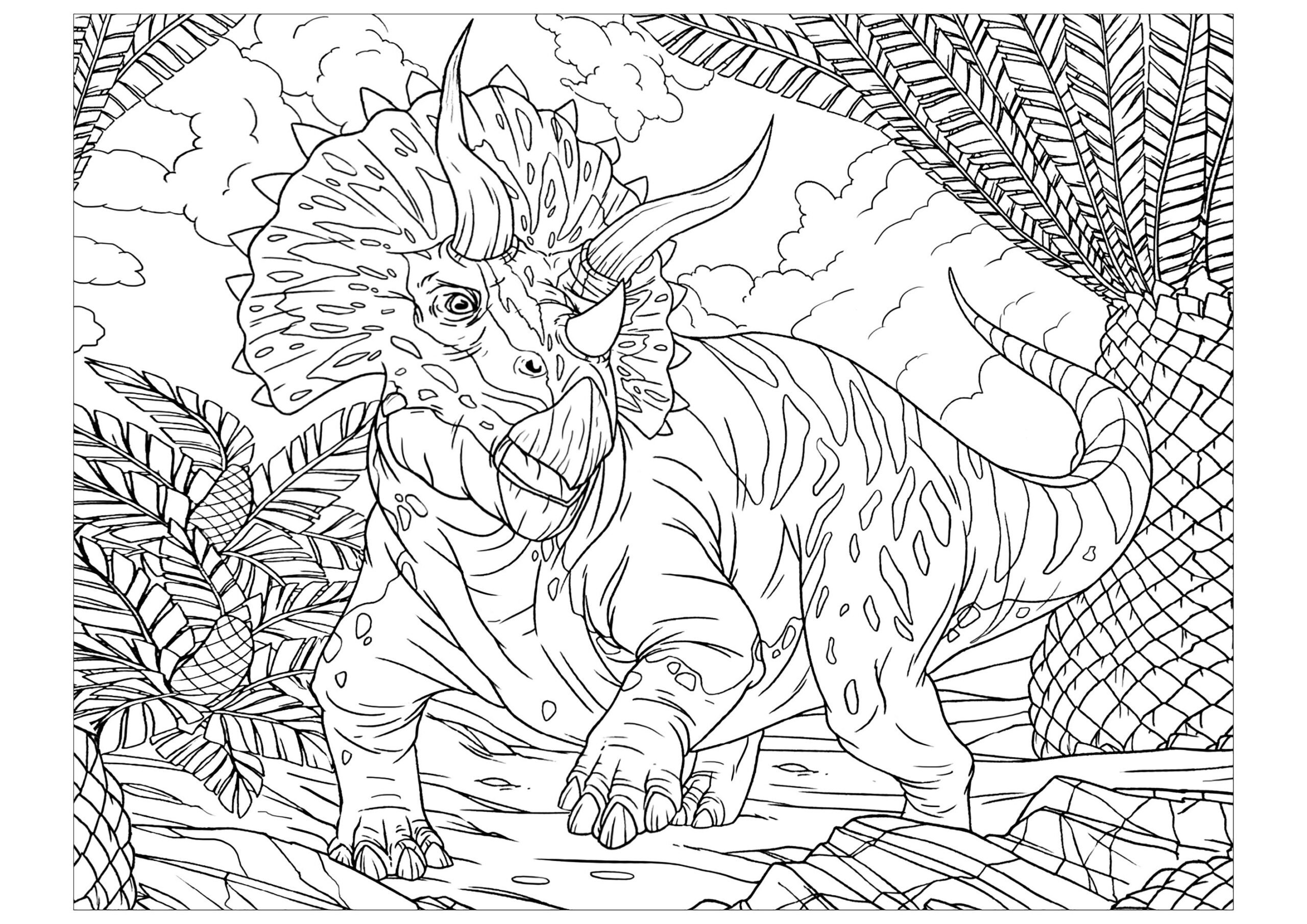 Triceratops Dinosaurs Coloring Pages For Adults
