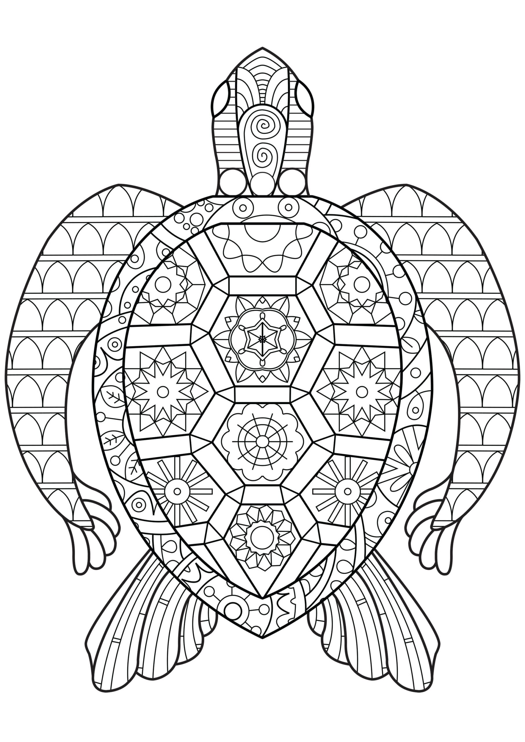Turtle With Geometric Shapes Turtle Coloring Pages